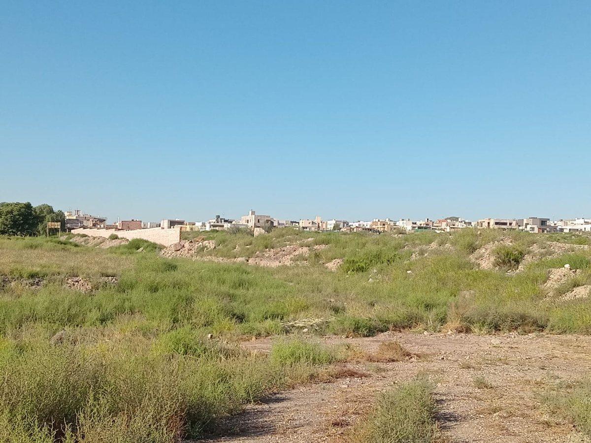 LOTE AMPLIO EL CHALLAO EN VENTA