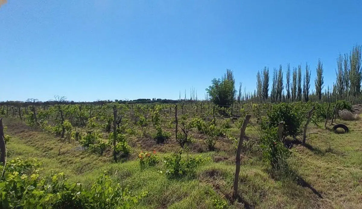 VENTA FINCA GRAN POTENCIAL PRODUCTIVO SAN RAFAEL 2