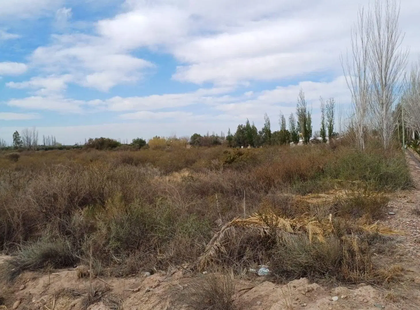 Campo en Cruz de Piedra Maipu apto para cultivo 2