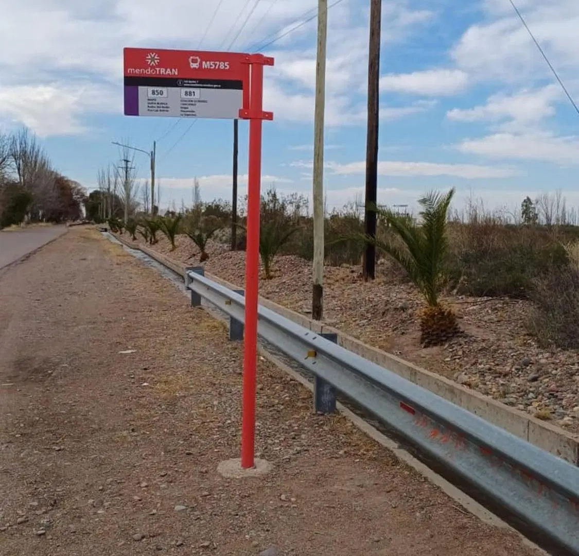 Campo en Cruz de Piedra Maipu apto para cultivo 4