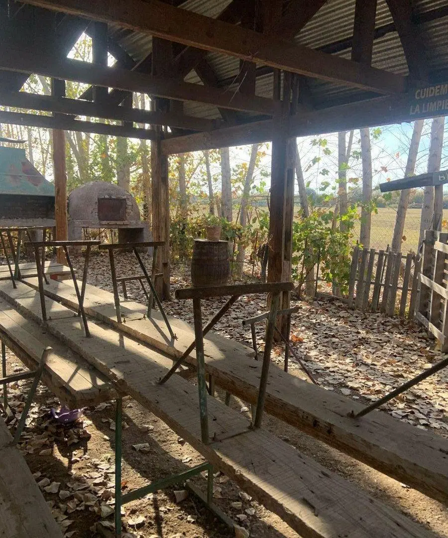 FINCA EN VENTA CORRALITOS, EN PRODUCCION 2