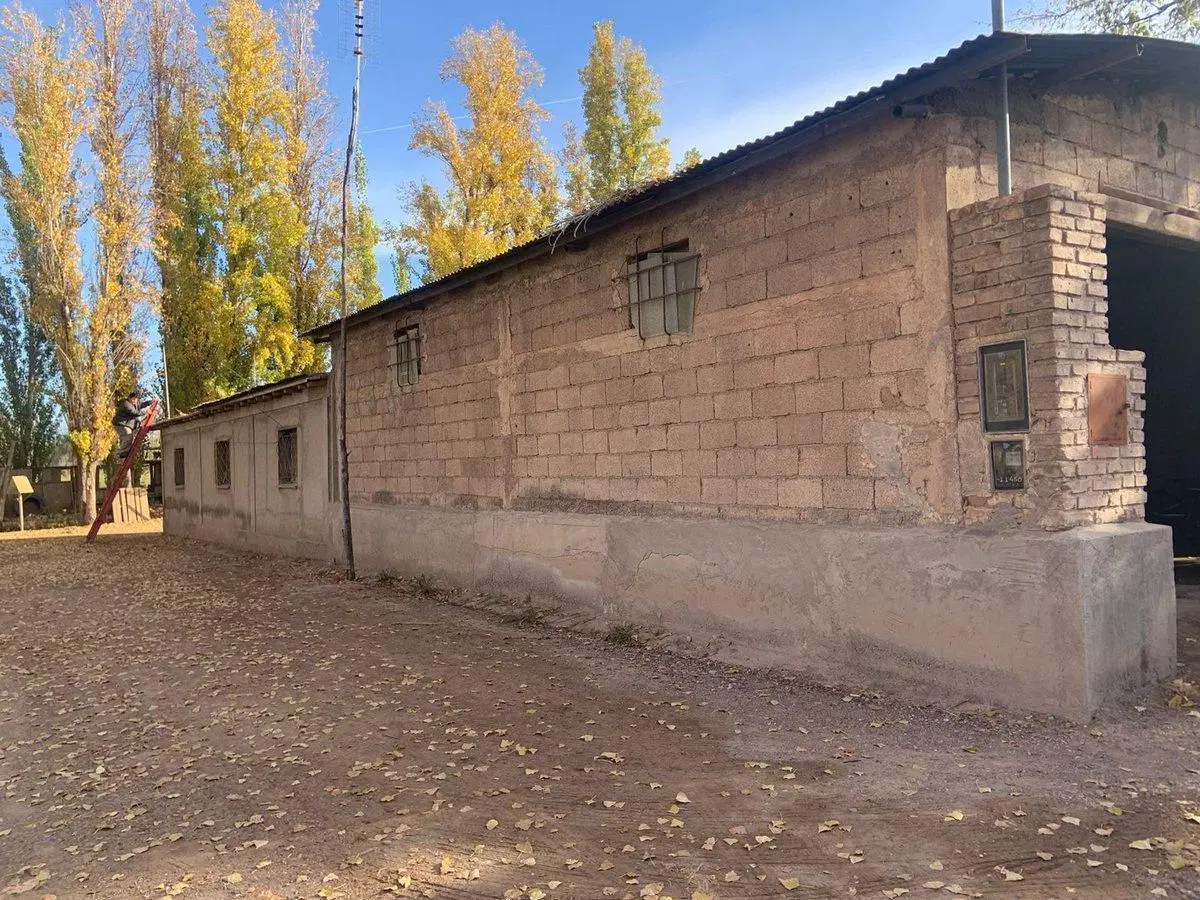 FINCA EN VENTA CORRALITOS, EN PRODUCCION 4