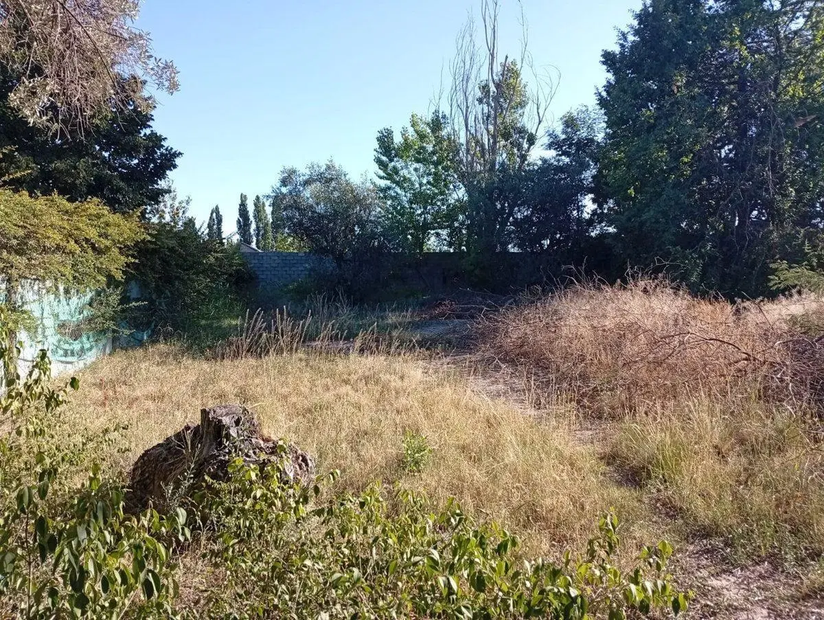 LOTE PUEYRREDÓN Y PARAISO CHACRAS DE CORIA 4