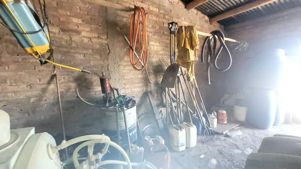 FINCA EN PRODUCCION SAN MARTIN - MENDOZA 5