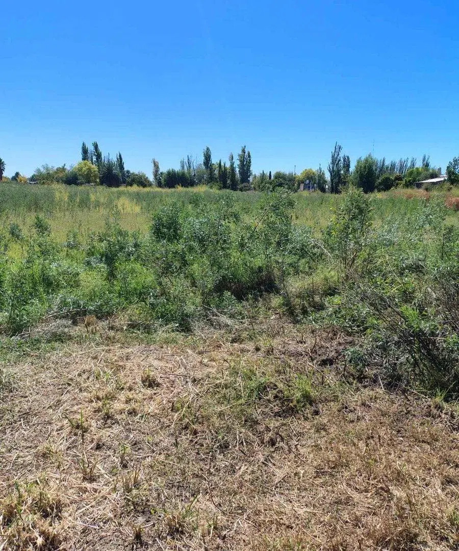 Terreno en Venta. 3