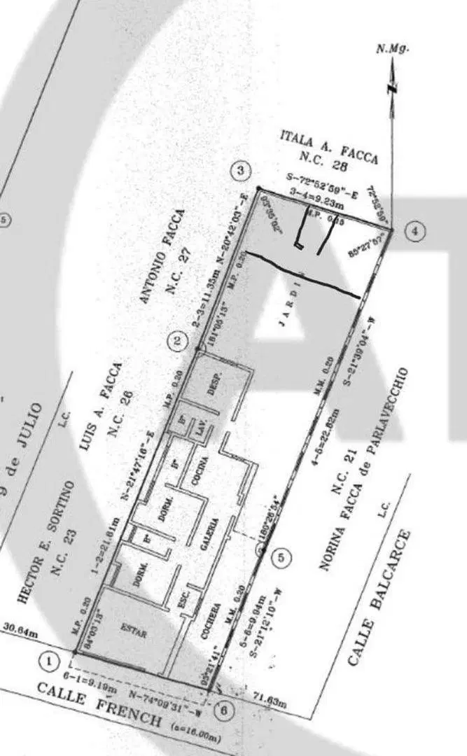 Plano 1