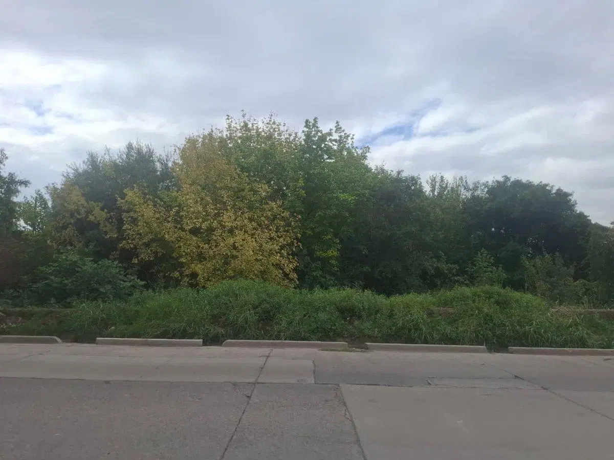 VENTA GRAN TERRENO 3000 M2 NVERSION LAS HERAS 2