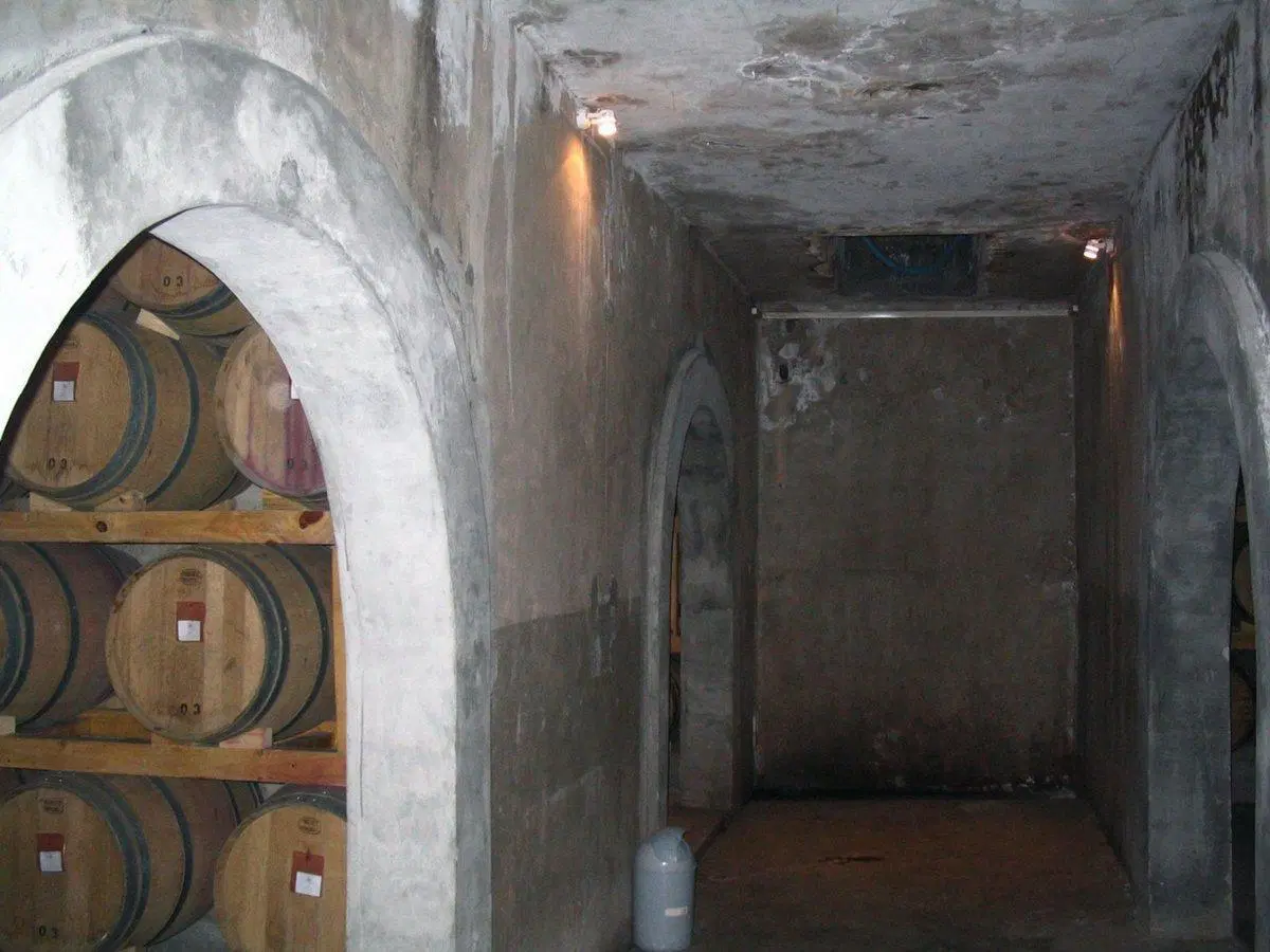 ALQUILER DE BODEGA - GALPONES EN MAIPÚ 3