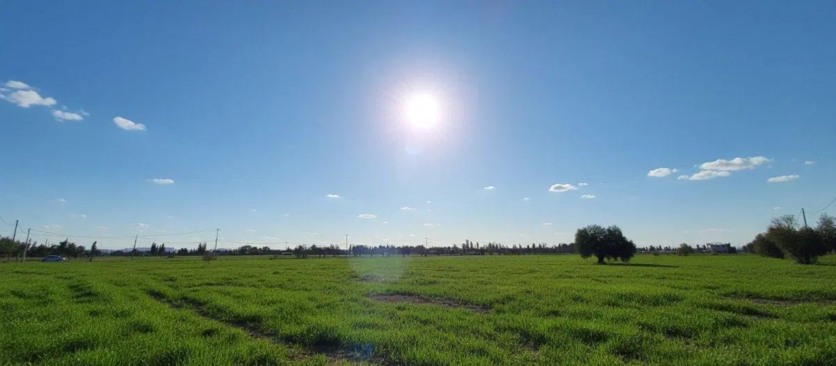 VENTA GRAN TERRENO EN LAS PAREDES, SAN RAFAEL 4