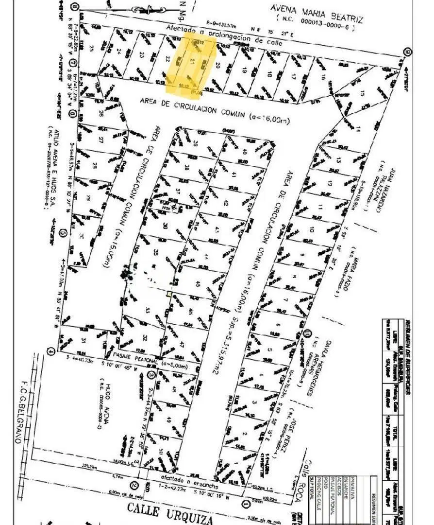 Plano 1