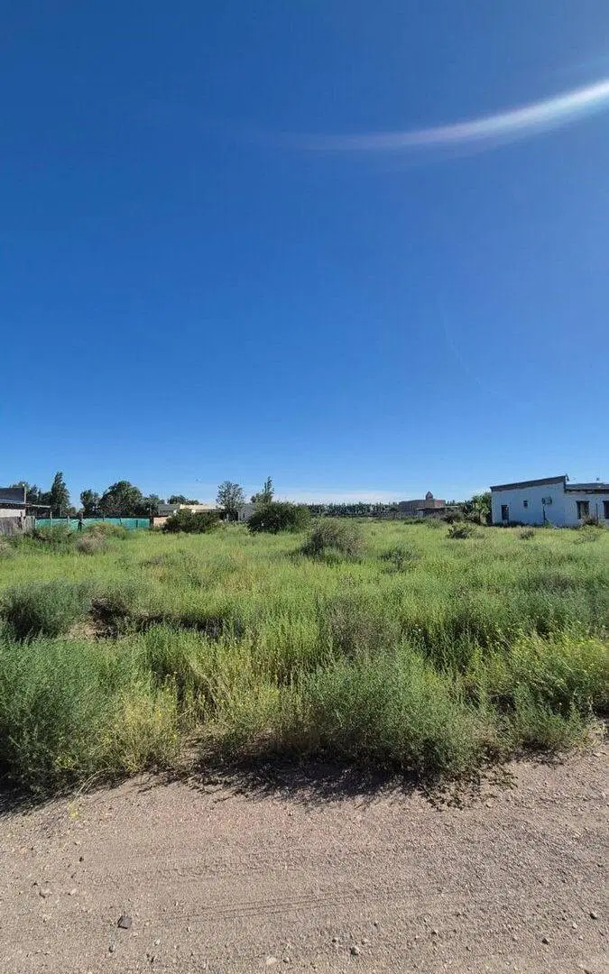 VENTA TERRENO 2000 m2 -LAS PAREDES - SAN RAFAEL 4