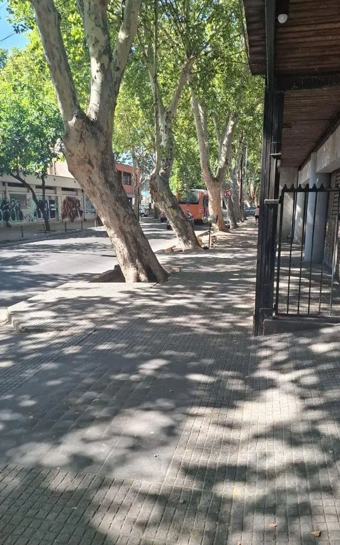 Cochera ciudad de Mendoza 5