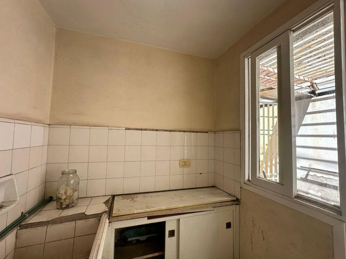 VENTA DE CASA, LOCAL Y DPTO EN AV. ALEM PALMIRA 5