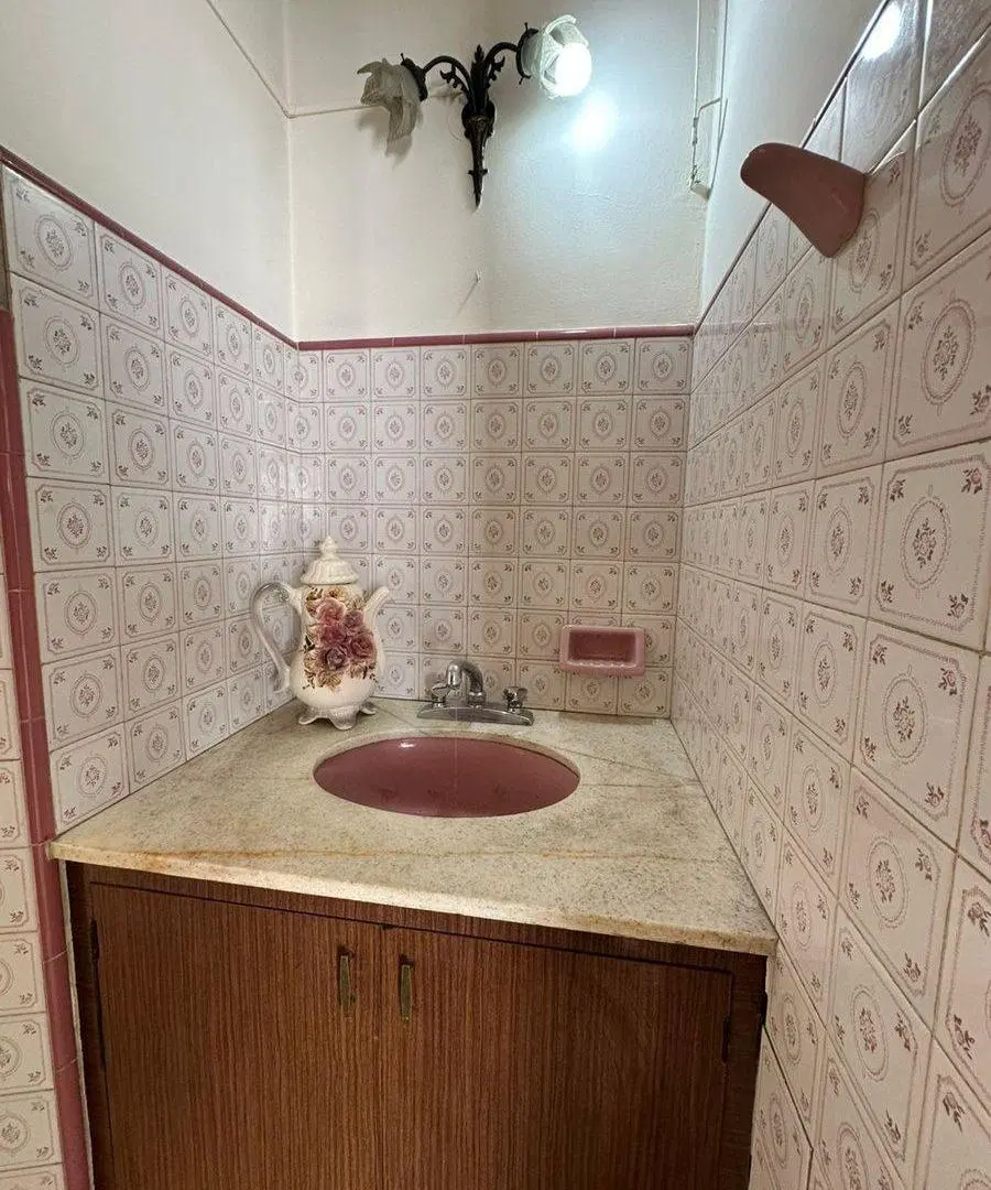 VENTA DE CASA, LOCAL Y DPTO EN AV. ALEM PALMIRA 3