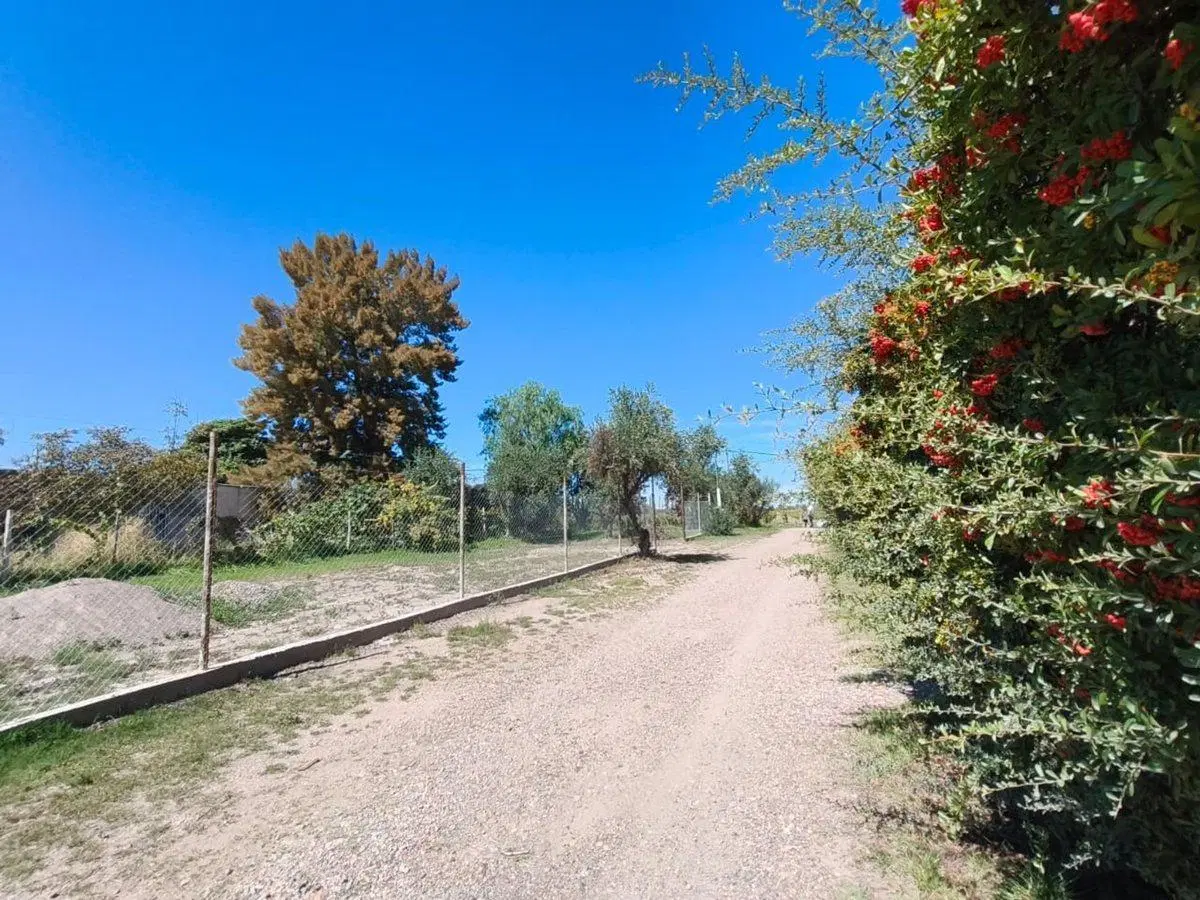 Venta de lote Vistalba, Lujan de Cuyo 5