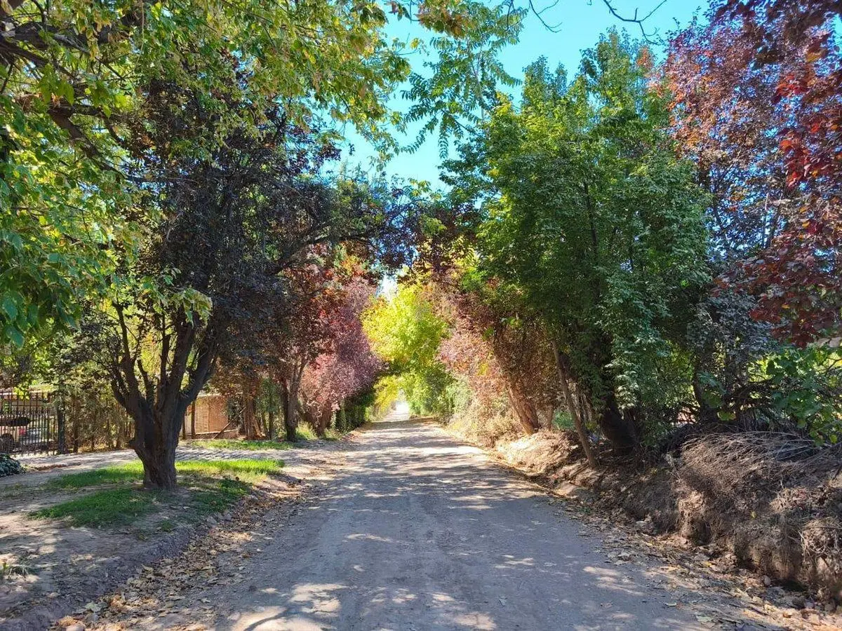 Venta de lote Vistalba, Lujan de Cuyo 3