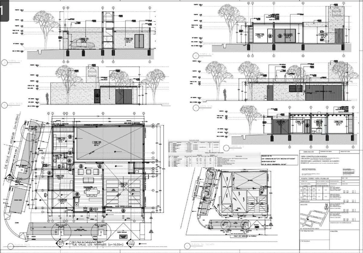 Plano 1