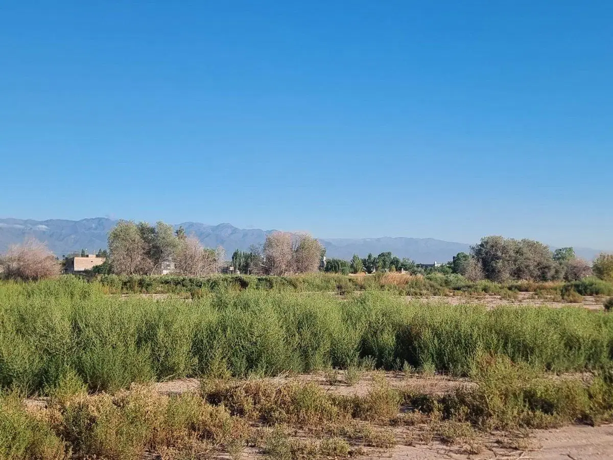 VENTA de TERRENO 2021 m² con doble acceso POTENCIA 2