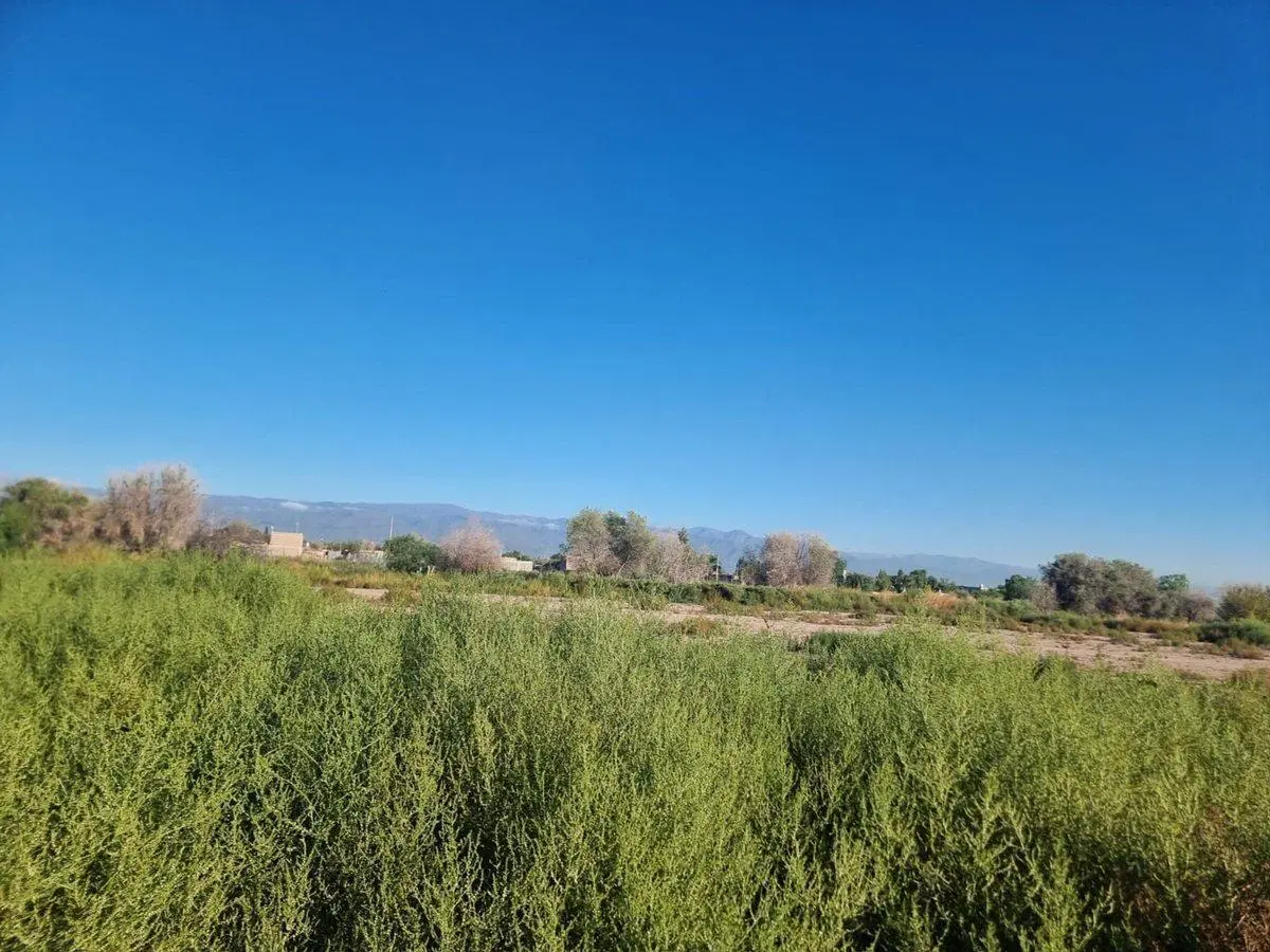 VENTA de TERRENO 2021 m² con doble acceso POTENCIA 5