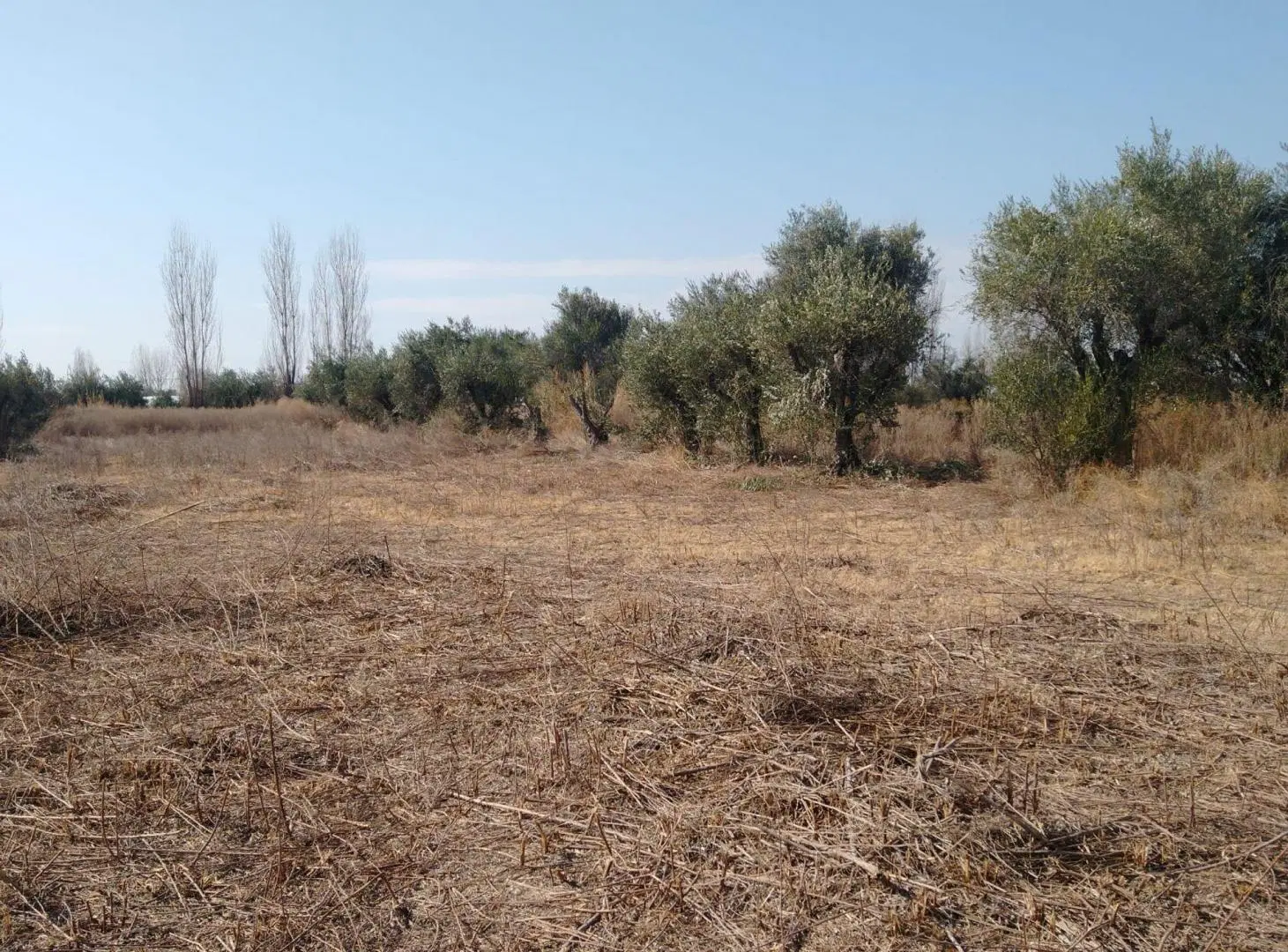Lote en Venta Guaymallen 5