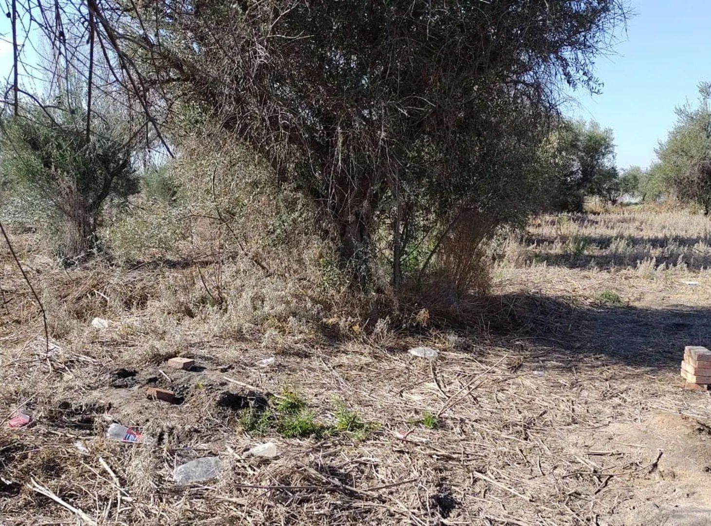Lote en Venta Guaymallen 4