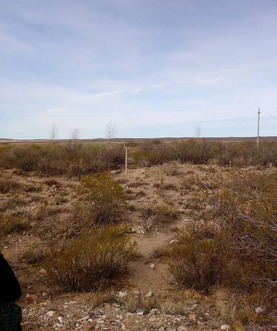 VENTA TERRENO DE 2,5Ha, PAREDITAS, SAN CARLOS MZA 5