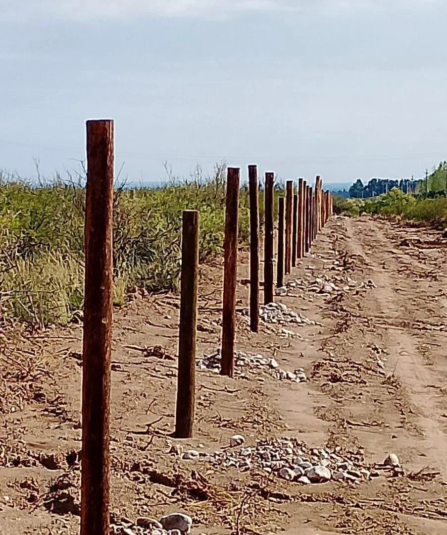 VENTA TERRENO DE 2,5Ha, PAREDITAS, SAN CARLOS MZA 3