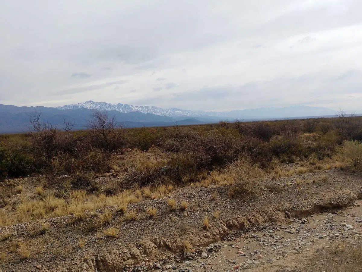 VENTA TERRENO DE 2,5Ha, PAREDITAS, SAN CARLOS MZA 2