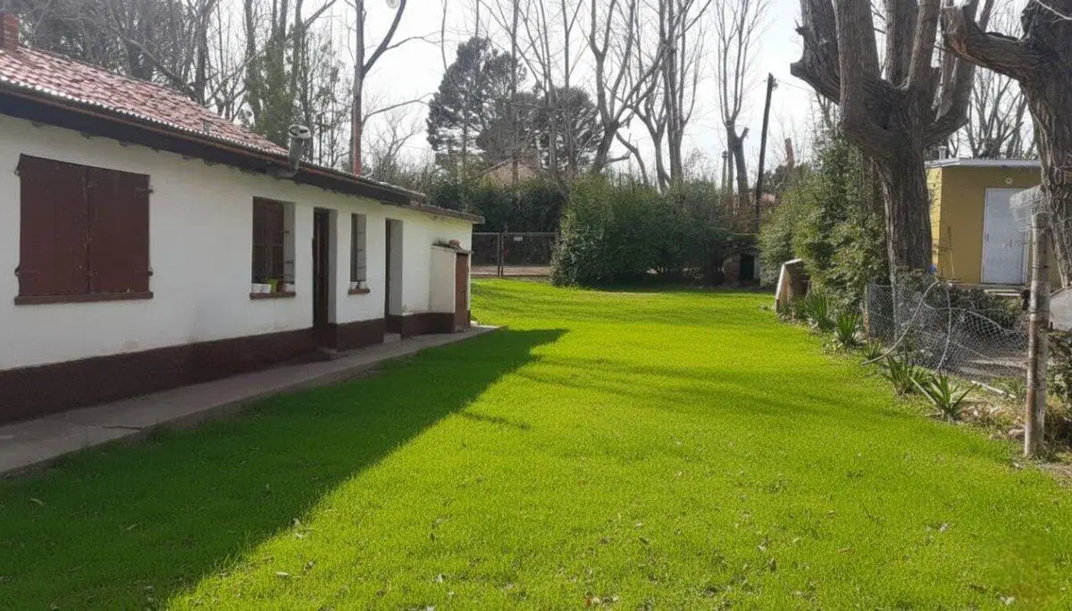 VENTA CASA Y 3 CABAÑAS, SAN RAFAEL, MENDOZA 5