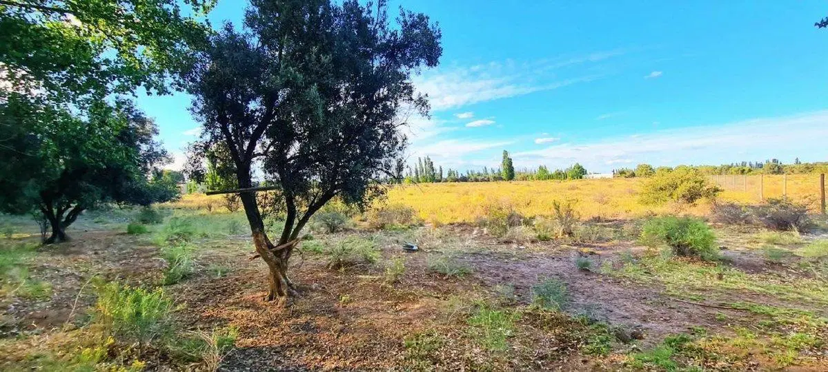 VENTA 9 LOTES EN BLOQUE EN LAS PAREDES, SAN RAFAEL 3