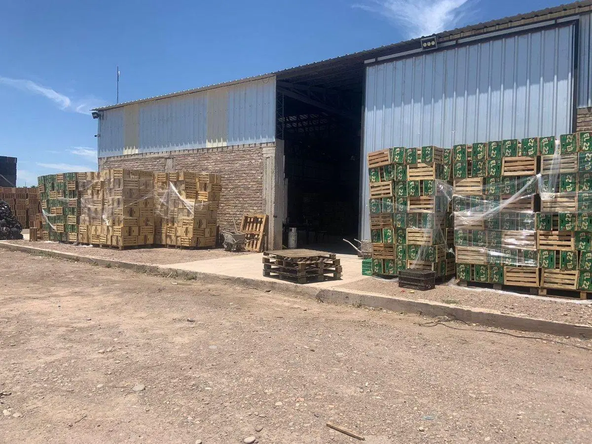 GALPON DE EMPAQUE EN VENTA 5