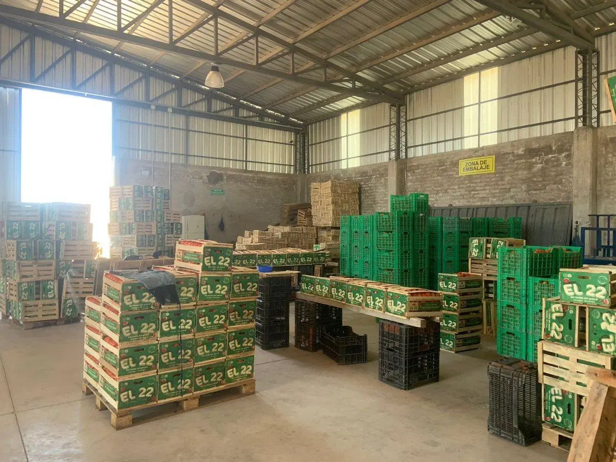 GALPON DE EMPAQUE EN VENTA 4