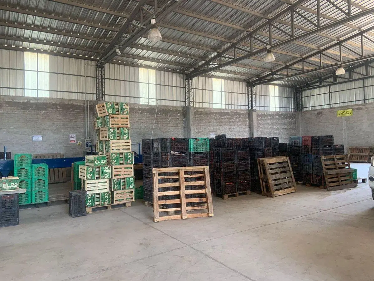GALPON DE EMPAQUE EN VENTA 2