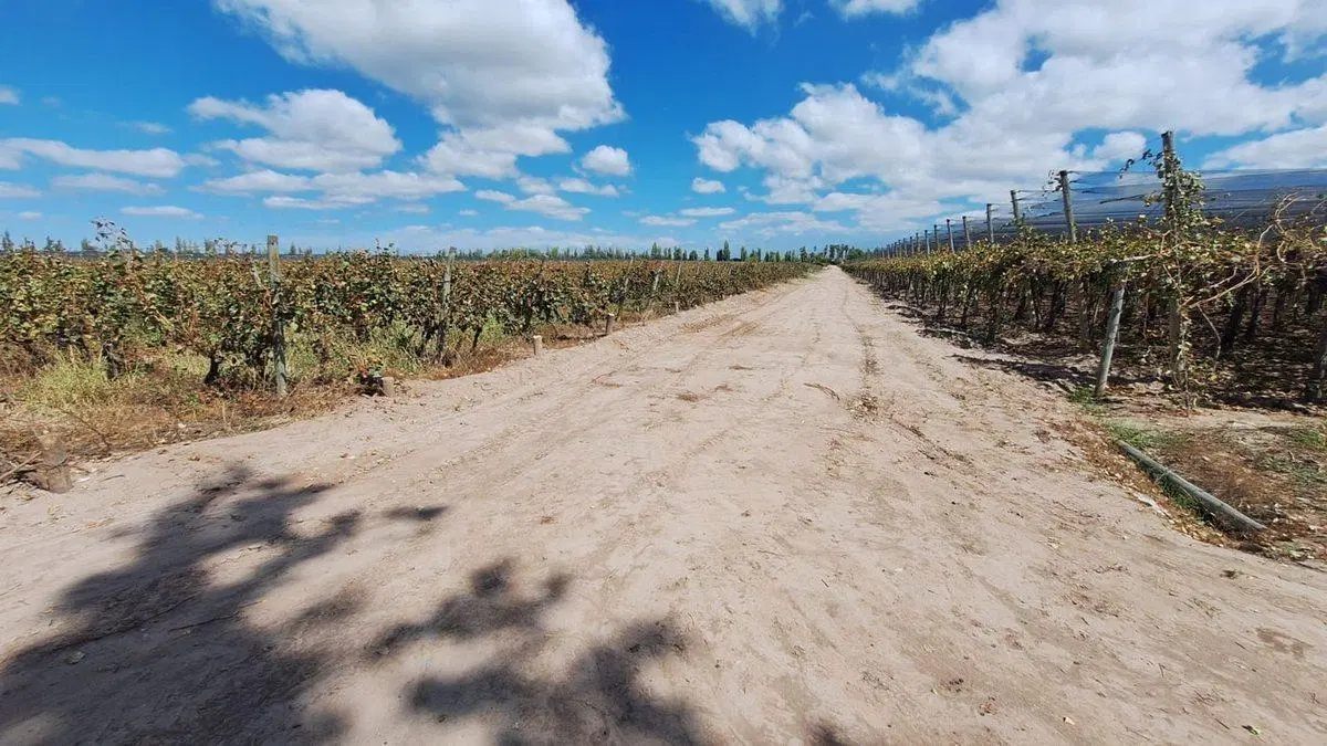 Venta de Finca en producción. 5