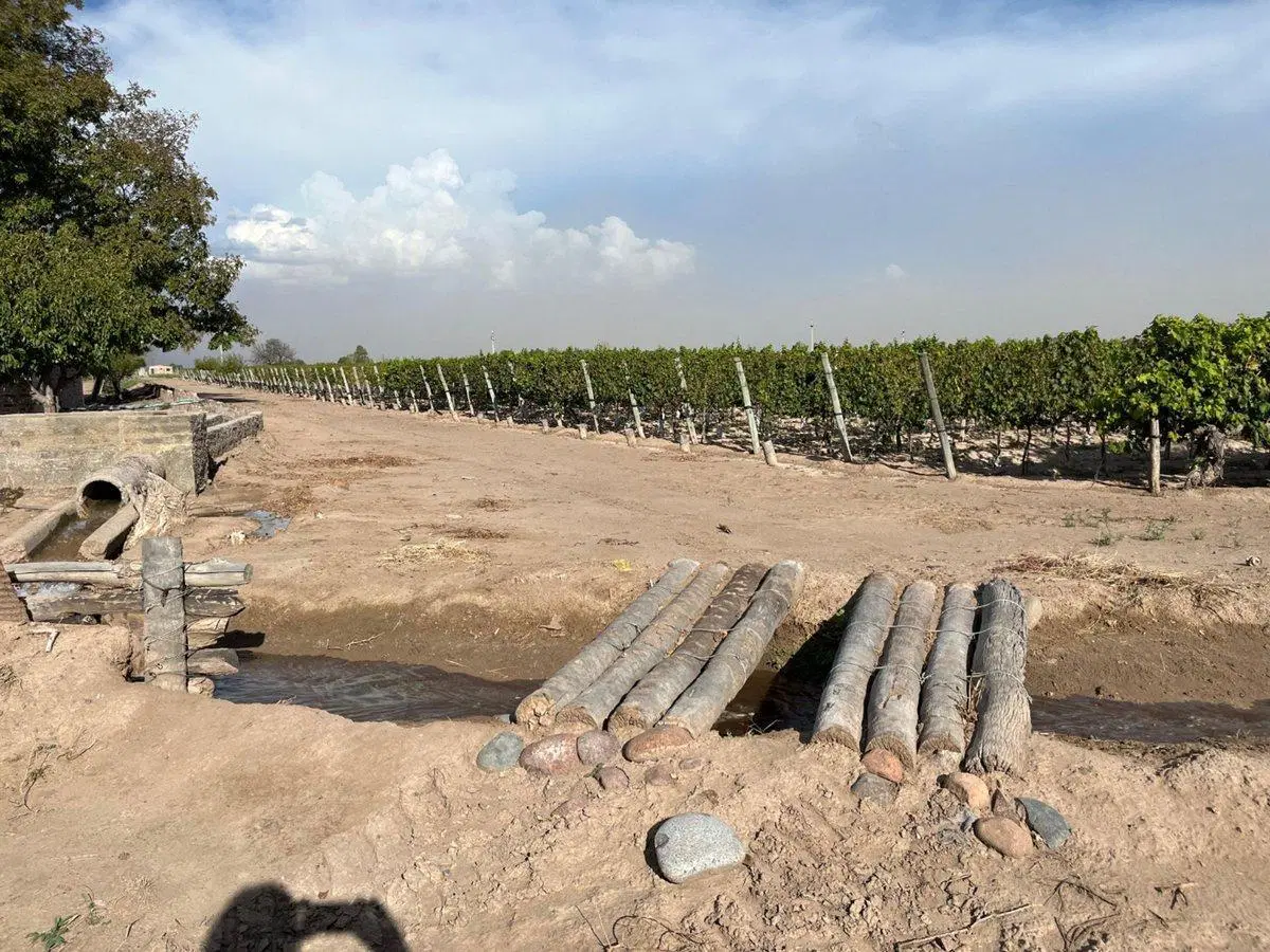 VENTA DE FINCA EN SAN MARTIN 2