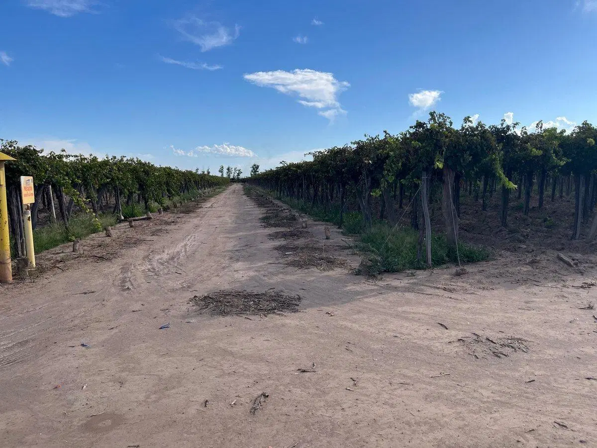 VENTA DE FINCA EN SAN MARTIN 4