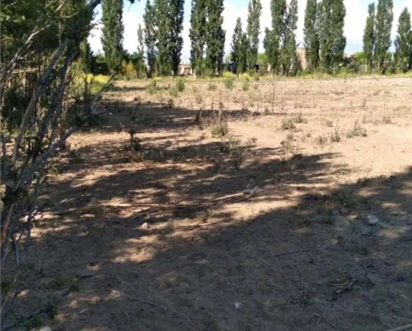 Terreno Ideal para desarrollos, San Jose Tupungato 4