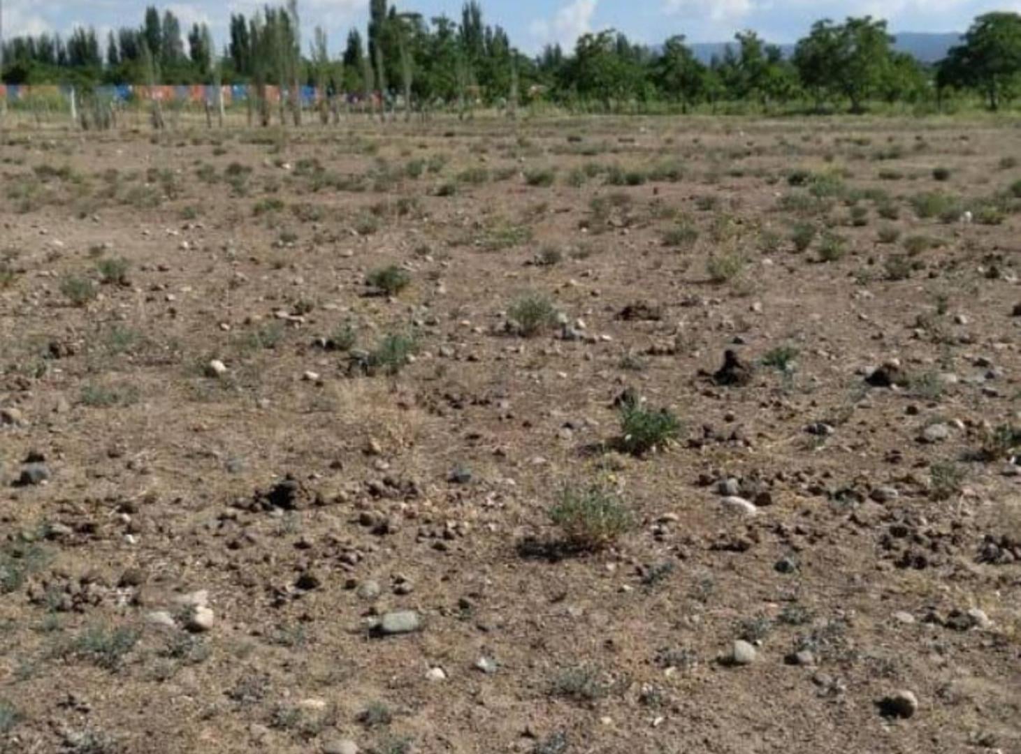 Terreno Ideal para desarrollos, San Jose Tupungato