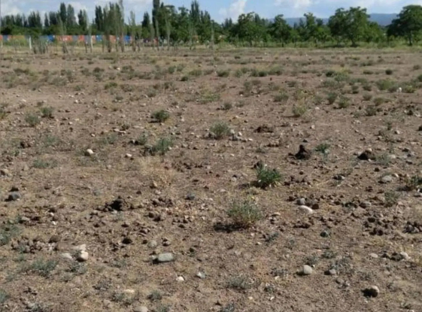 Terreno Ideal para desarrollos, San Jose Tupungato 2