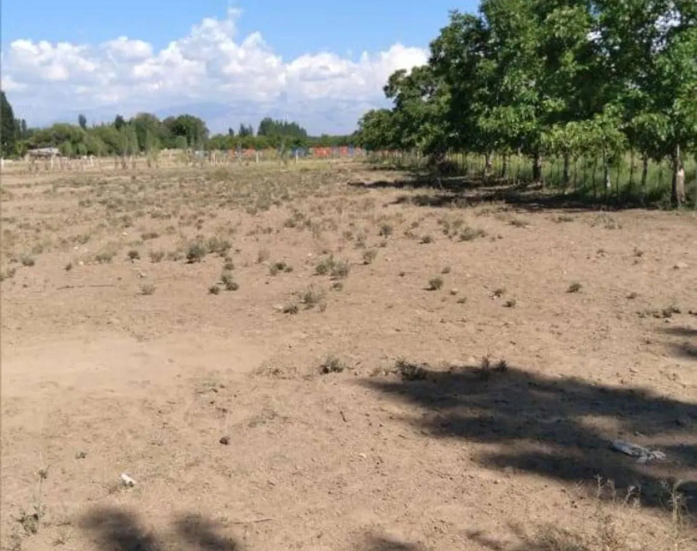 Terreno Ideal para desarrollos, San Jose Tupungato 5