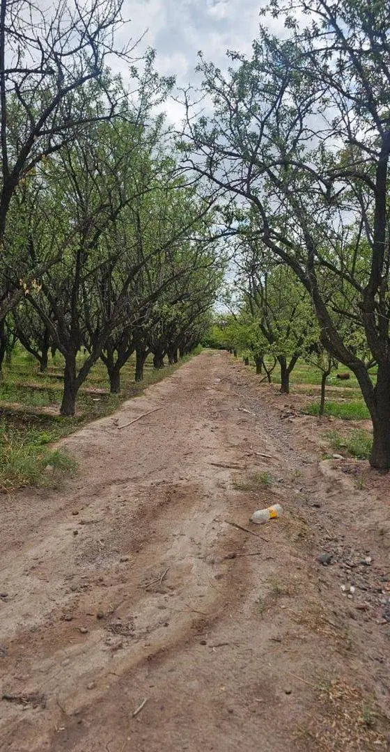 Terreno en Venta en Zona Industrial, Maipú 5
