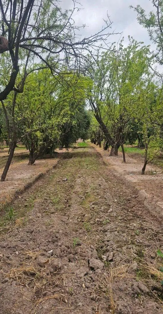 Terreno en Venta en Zona Industrial, Maipú 4
