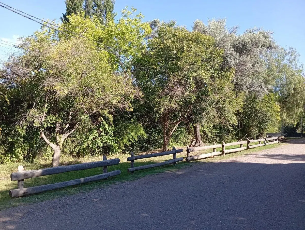 LOTE PUEYRREDÓN Y PARAISO CHACRAS DE CORIA 4