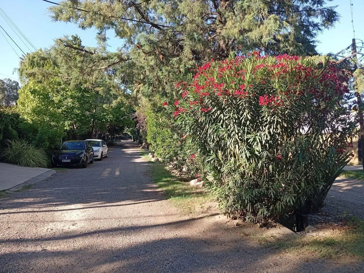 LOTE PUEYRREDÓN Y PARAISO CHACRAS DE CORIA 3