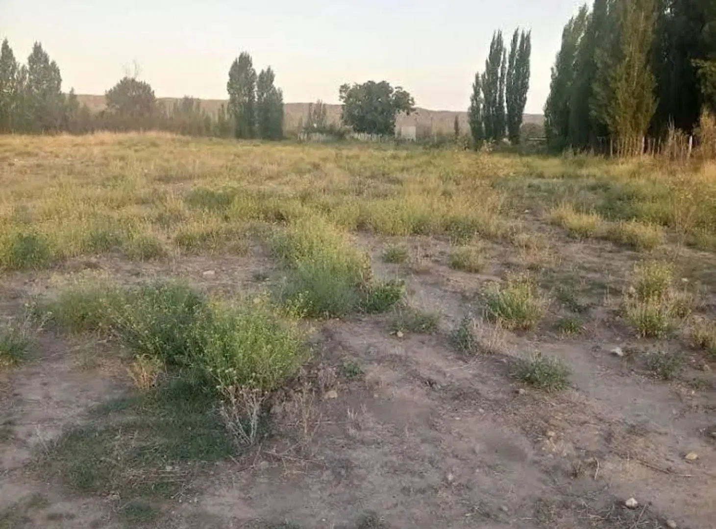 Crea Tu Campiña al Pie de la Cordillera, Tupungato 3