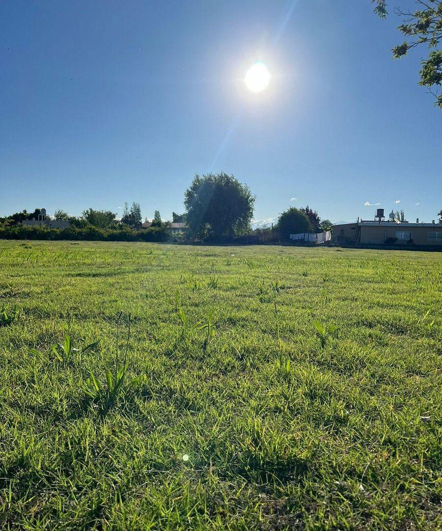 Lote Maipu 100 % FINANCIADO " Viejo Viñedo"