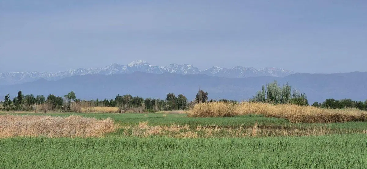 VENTA FINCA 5,7 HECTÁREAS GUAYMALLEN 4