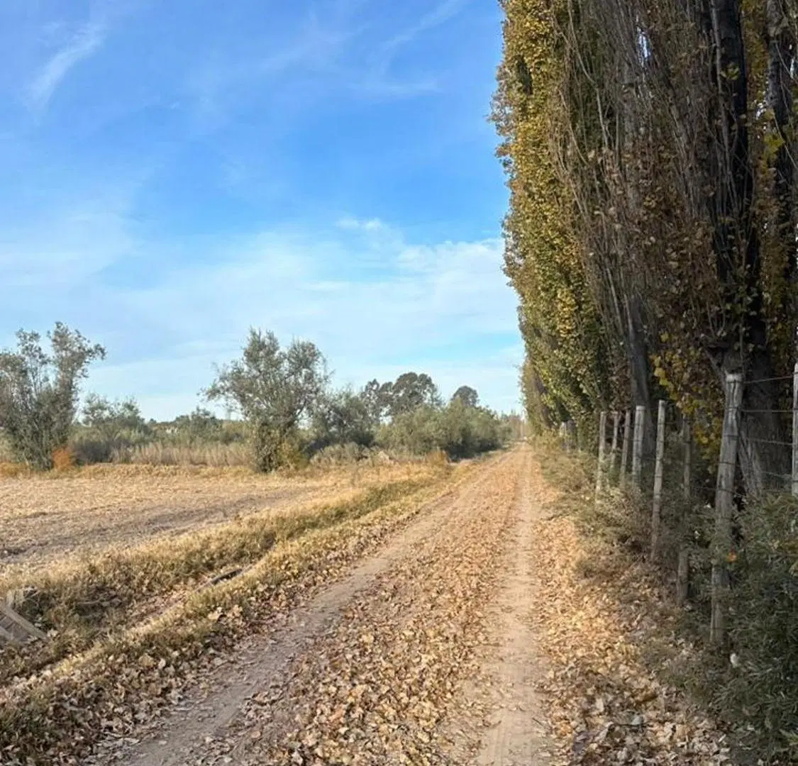 VENTA LOTE DE 2600m2 S/ CALLE MITRE A MTS DE SERPA 4