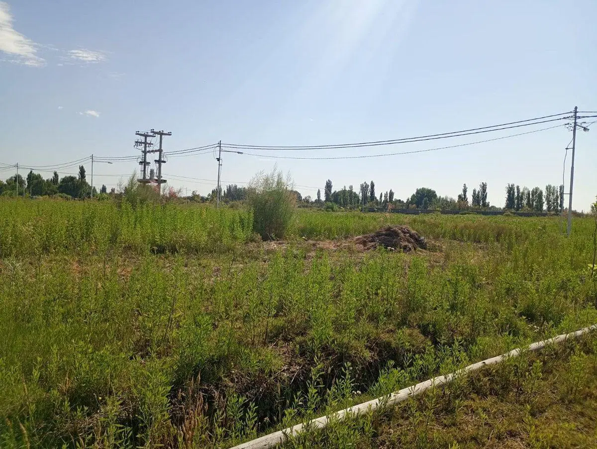 LOTE EN VENTA BARRIO PRIVADO BENEVENTO CORRALITOS 4