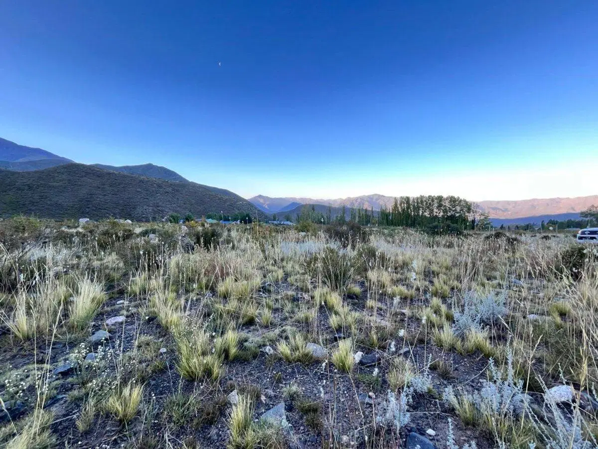 TERRENO EN POTRERILLOS, PIEDRAS BLANCAS 4